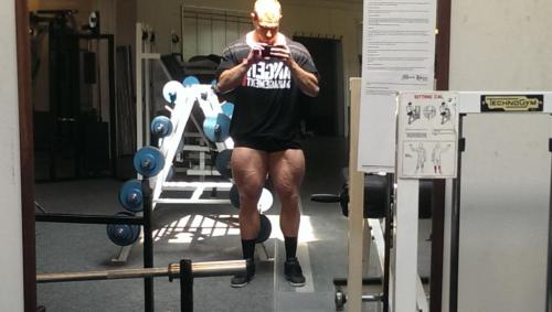 Love to Look at Muscles