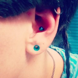 A conch I pierced today! #instalike #instapierce