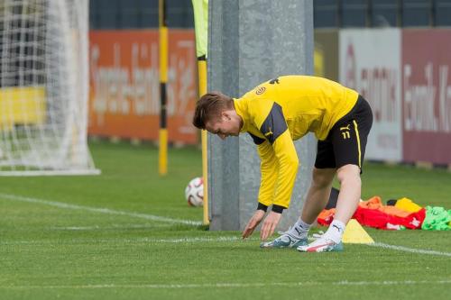 Marco ReusGerman footballer