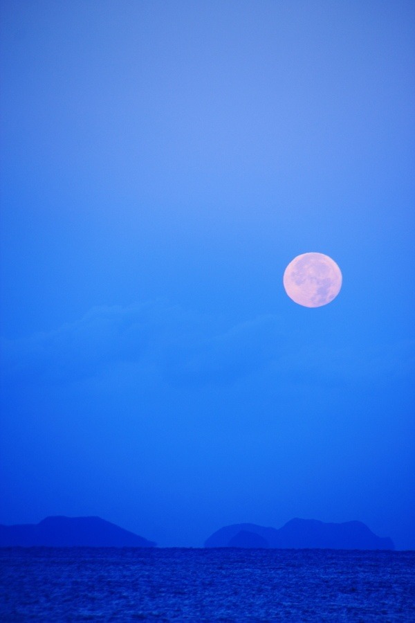 unwrittennature:  Moon in the morning by Isa Go on Fivehundredpx 