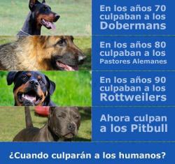 conciencia-animal:  ¿Cuándo?! 