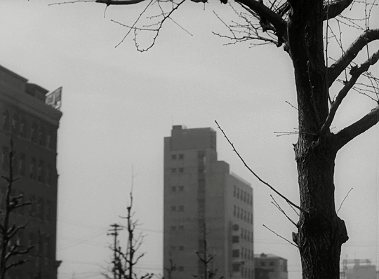 lucreciasmartel: Tokyo Twilight (Tôkyô boshoku)1957, dir. Yasujirō Ozu.