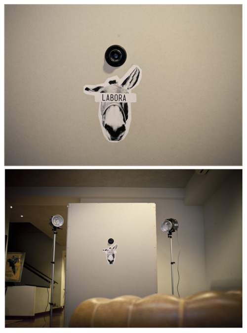 Ölaf Camera | Ilford Direct Positive Paper Mantova Creativa Maison Toso, Mantova Olaf è 