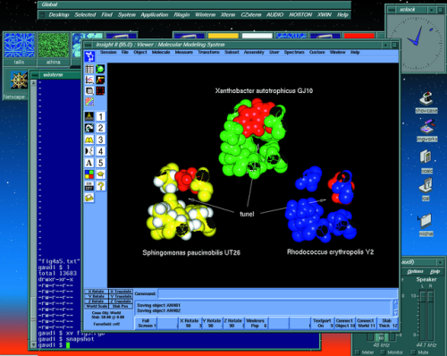Insight II Molecular Modeling System running on SGI IRIX (Faculty of Science, Masaryk University Brn