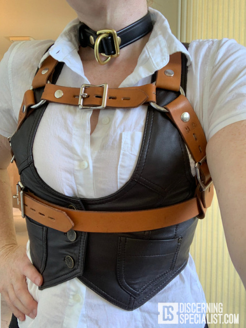 kittydenied: Testing a couple bust harnesses from The Discerning Specialist! The brown one is leathe