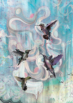 mat1t:  ‘Hummingbirds’ (creative