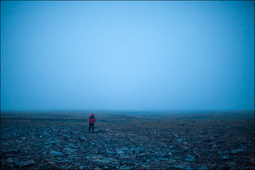 Man goes in a fog, Kotelniy Island, Yakutia, Russia, August 2013.