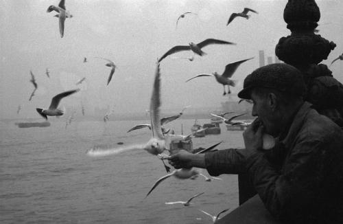 Sergio Larrain