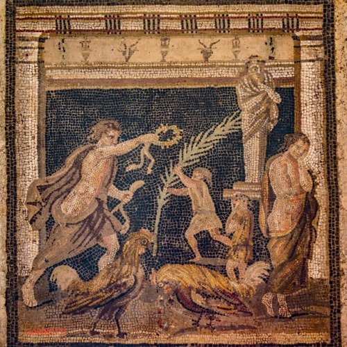 noragaribotti:POMPEII-Roman mosaic with roosters fighting. Casa del Labirinto.
