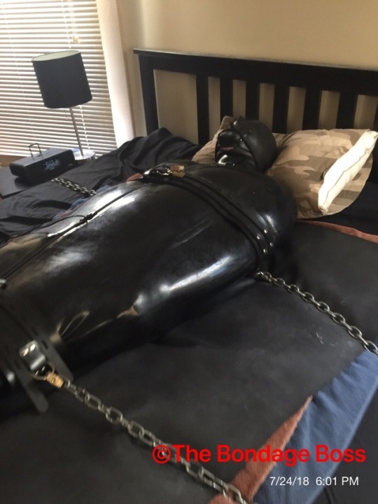 thebondageboss:  Tuesday, July 24 - Canadian pig in Bondagepig enjoys a long session in a rubber sleepsack 