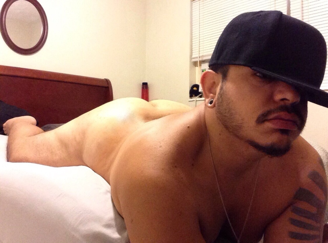bearsnsox:  gays-cats-and-funnies couldn’t figure out which pics of my cakes to