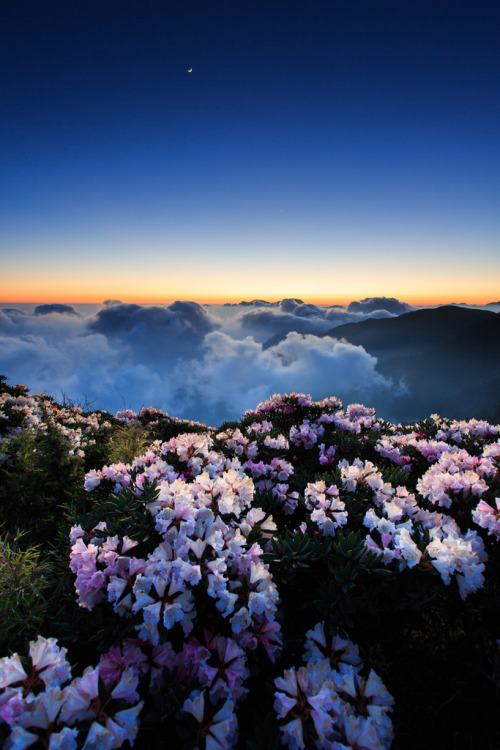 etherealvistas:  一咪咪月亮 A Tiny Moon (Taiwan) by samyaoo