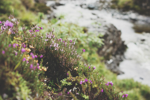 i-doll:0609; isle of skye, xi | fairy pools, vii