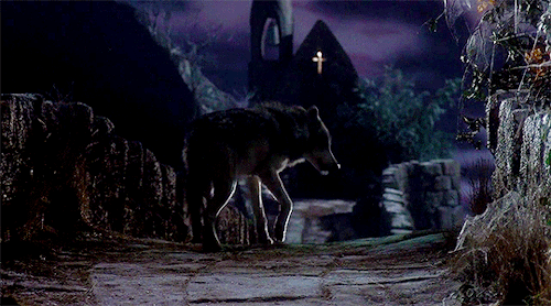 talesfromthecrypts: As you’re pretty, so be wiseWolves may lurk in every guiseNow