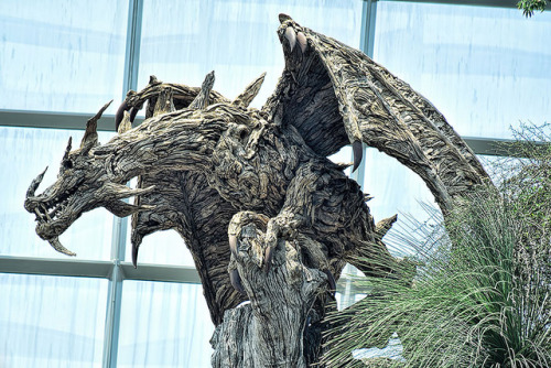 sixpenceee:Driftwood dragon sculptures by James Doran-Webb More info: jamesdoranwebb.com | Facebook 