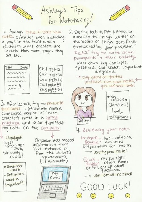 studyconfident:Made a quick doodle summarizing how I take notes, I hope maybe it helps somebody out!