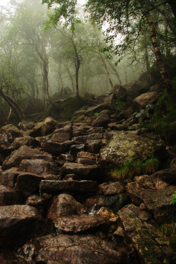 lostrend:  brutalgeneration:  Preikestolen way, Norway (by Michele Bussoni2010)   x