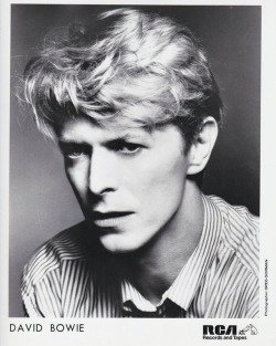 vezzipuss:David Bowie, Promo press photo,