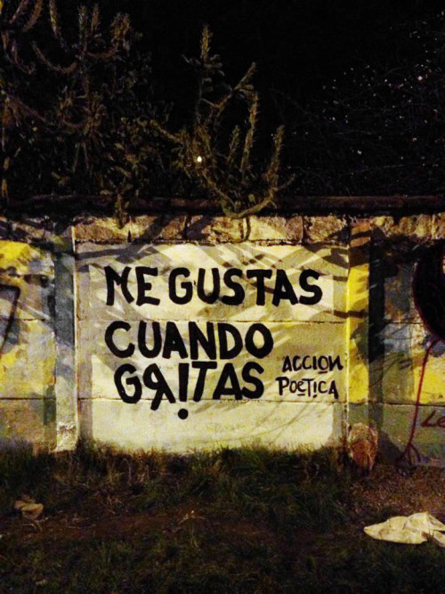 accionpoeticaenchile:  “Me gustas cuando gritas”Del ferrocarril, Maipú.