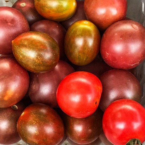 Cherry Tomatoes, Oak Marr Farmers Market, Fairfax, 2018.