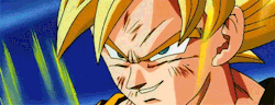 Tenkaichi Budokai