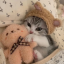 kittycarabiner