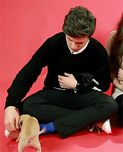 dylanobriyn:Nick Robinson playing with puppies (◠‿◠✿)