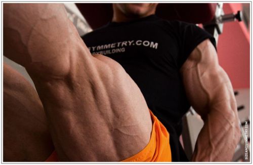  Igorem Illésem  google maps should use his veins instead