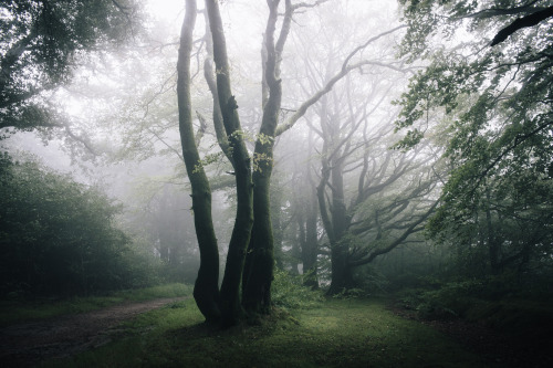 ardley:19th Aug 2020As today is World Photography Day, I braved the delightfully torrential weather 