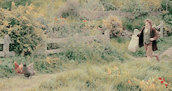 arwenundomie1-deactivated201509:Make Me Choose || oakensheld asked :Bilbo or Frodo?