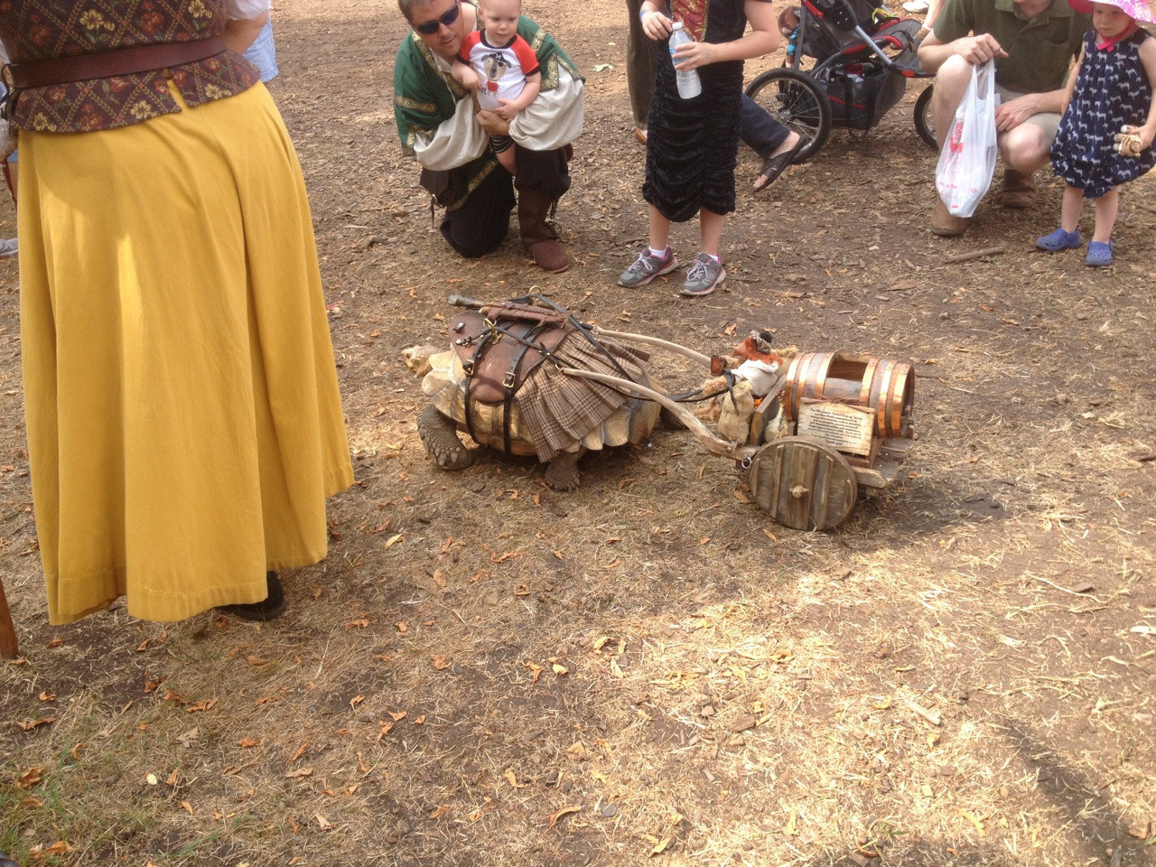 mymindisodd:  Siege Turtle.