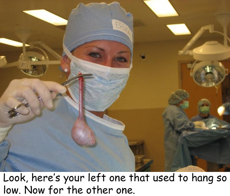 Femdom Nurse Castration