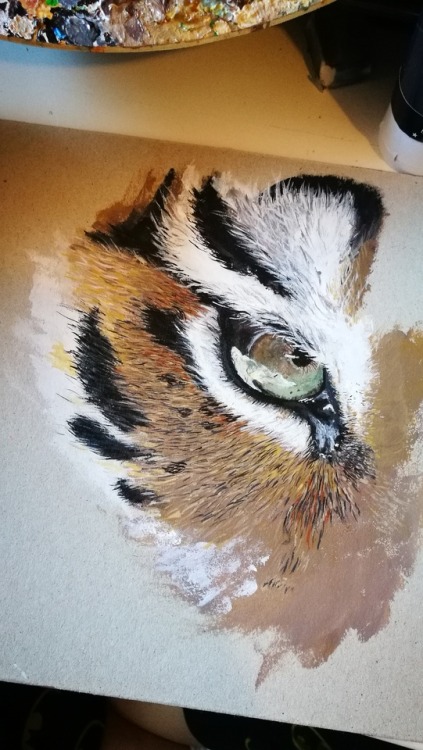 wonder-draw:Tiger eyeAcrylic on cardboard