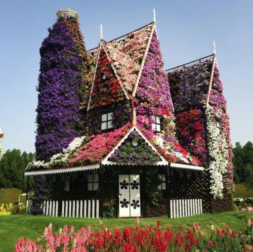 amitrips: Dream house in Dubai Miracle Garden.The Dubai Miracle Garden is a flower garden located in