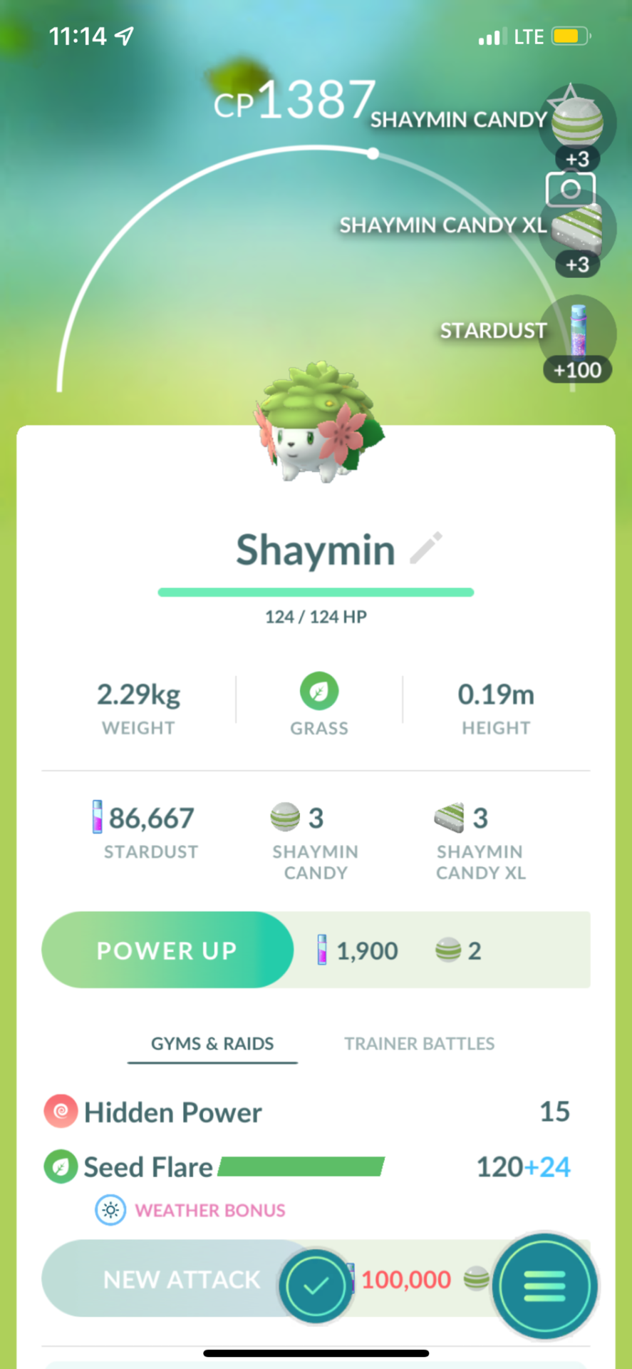 Land Shaymin — A collection of photos from Pokémon GO Fest!