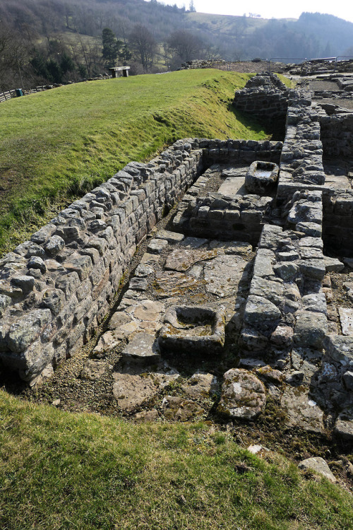 thesilicontribesman: Vindolanda Roman Fort, near Hadrian’s Wall, Northumbria, 24.2.18.Various 
