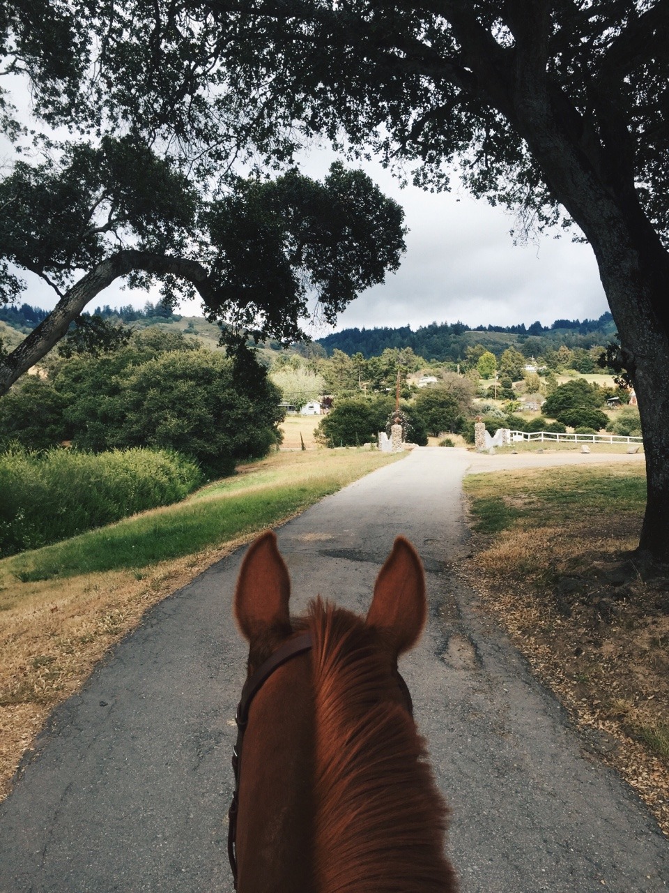 princessleitch:  ⛅️