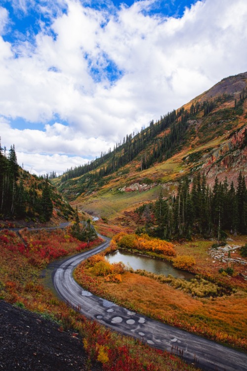 Fall in Colorado