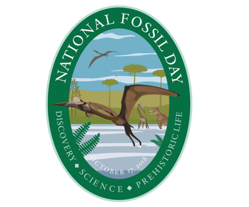  National Fossil DayNational Fossil Day spotlights the unique ways in which fossils are clues to the