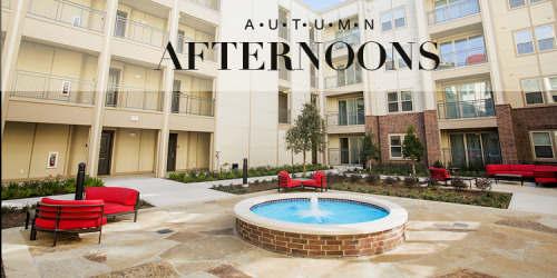 Autumn Afternoons at Alta Heights ApartmentsThe season is still right for enjoying some lounge time 