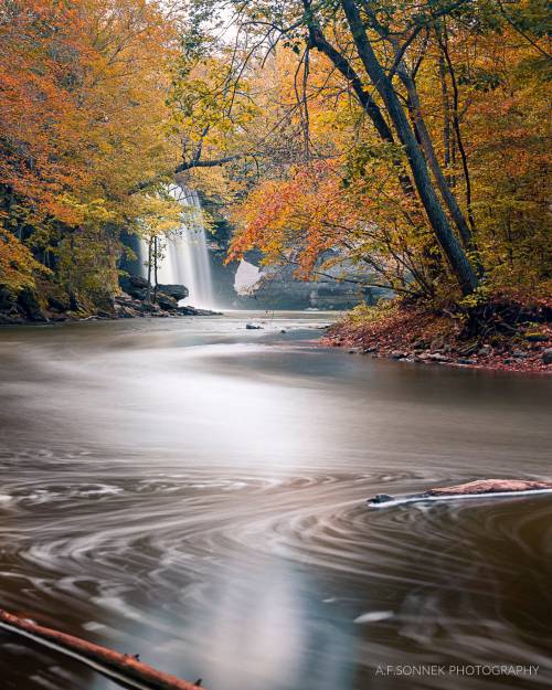 Today&rsquo;s virtual county fair sale features are for the fans of local nature - &ldquo;Si