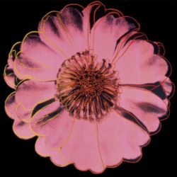 pentauroi: Andy Warhol, Flower for Tacoma Dome, 1982.