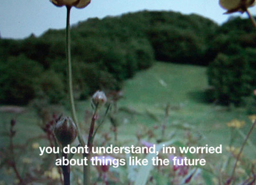 🌱🌺