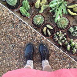 teencrisis:i went to a greenhouse today