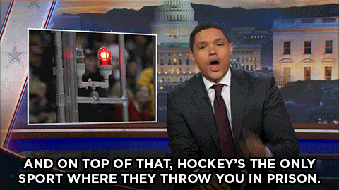 thedailyshow:Hockey has more black support than Donald Trump.