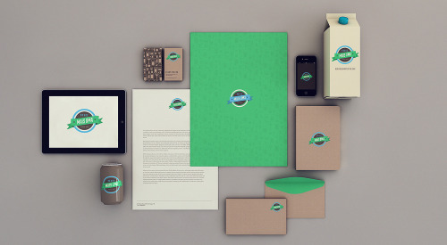 Graphic Design 01:  Corporate Design Presentations from Isabela Rodrigues 