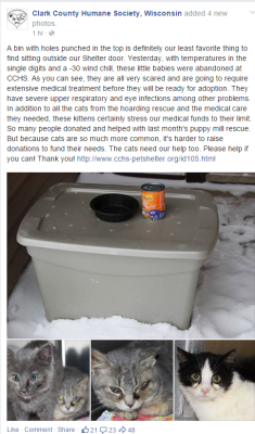calleo:  It takes a special kind of asshole to do this. People who dump sick animals at shelters really are scum; it doesn’t matter if they “couldn’t afford” to treat them, if you dump an animal like that I hope karma comes back and ruins your