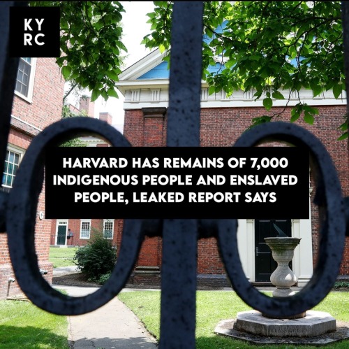 Harvard Reportedly Holds The Remains Of At Least 19 People Of African Descent Who Were Most Likely Still