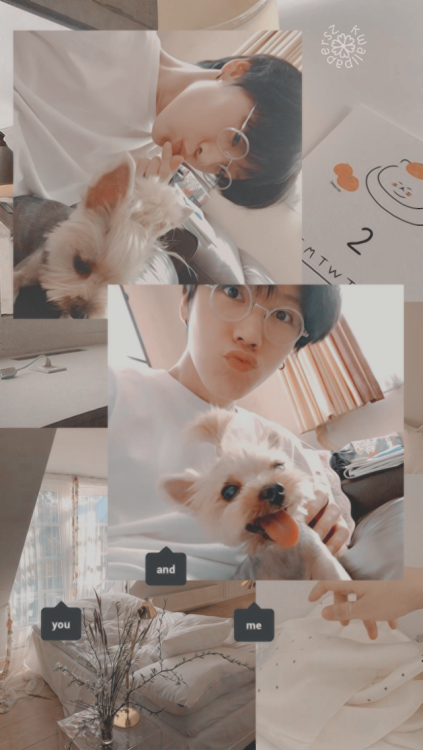 NCT - Ten (Aesthetic)like or reblog if you safeopen a image for better qualitydo not remove the logo