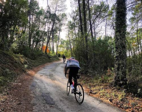 youcantbuyland: #Repost @croaam ・・・ RCC EXCURSION day 3 #outsideisfree #cycling #rapha #rapha_rcc #r